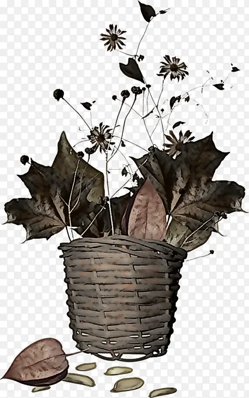 �� Ҷ ����-������