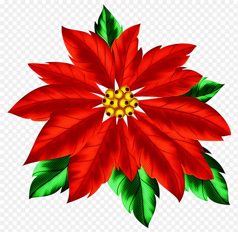 �� ��ɫ һƷ��-������