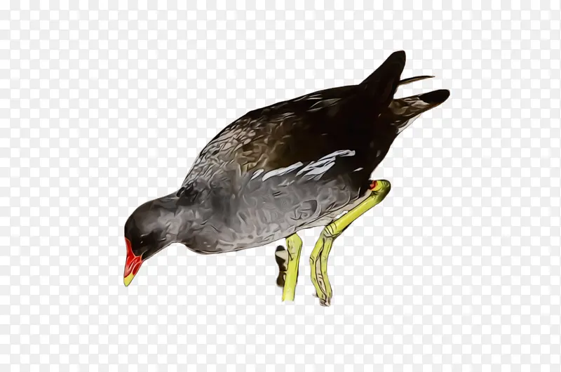 ˮ�ʻ� ���� ʪī-������