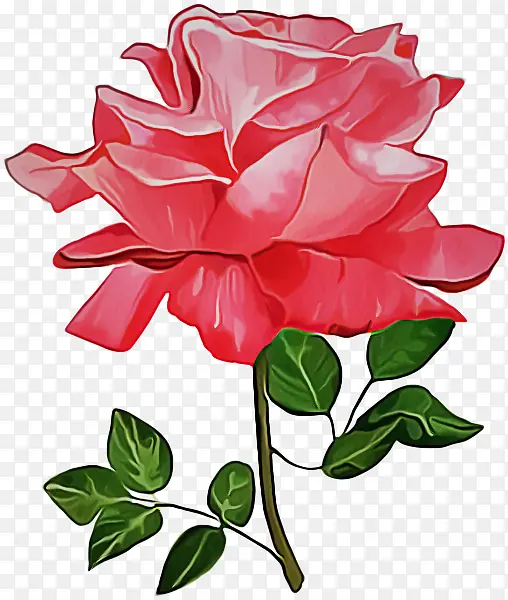 ���� ����ֲ�� ����-������