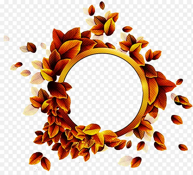 Ҷ�� ֲ�� ʳ��-������