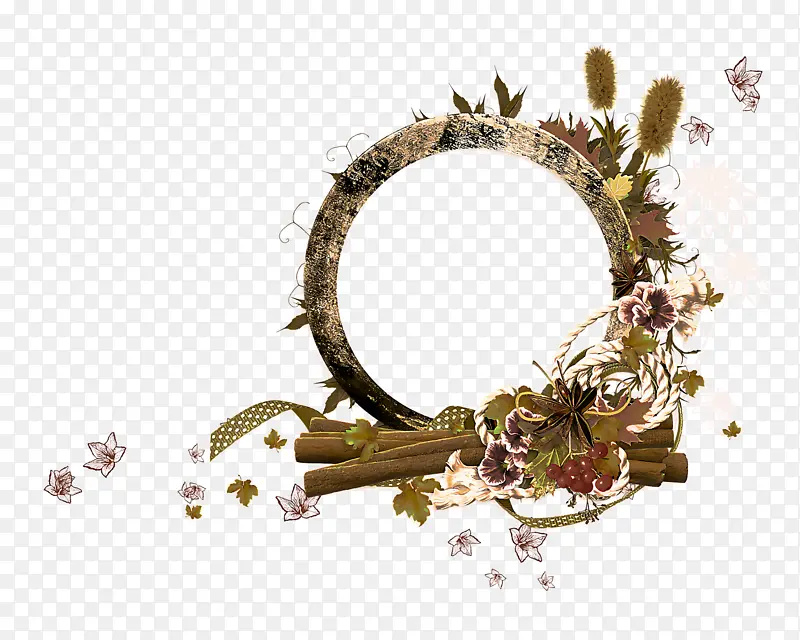 Ҷ�� ֲ�� ��֦-������