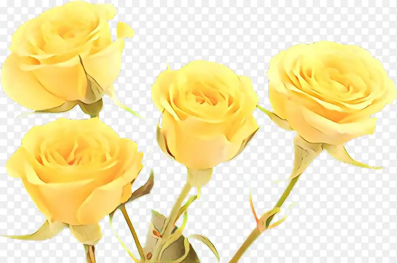 ��ͨ ��԰õ�� ����-������