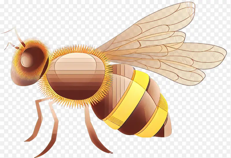 ��ͨ ���� �۷�-������