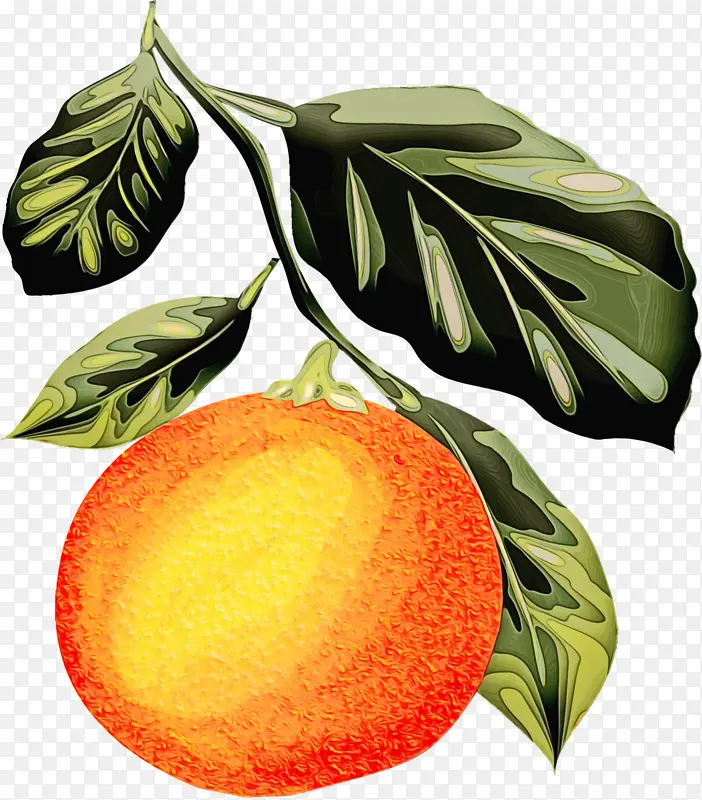 ˮ�ʻ� ���� ʪī-������