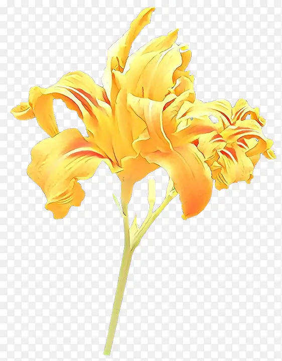 ��ͨ ���� ��ɫ-������