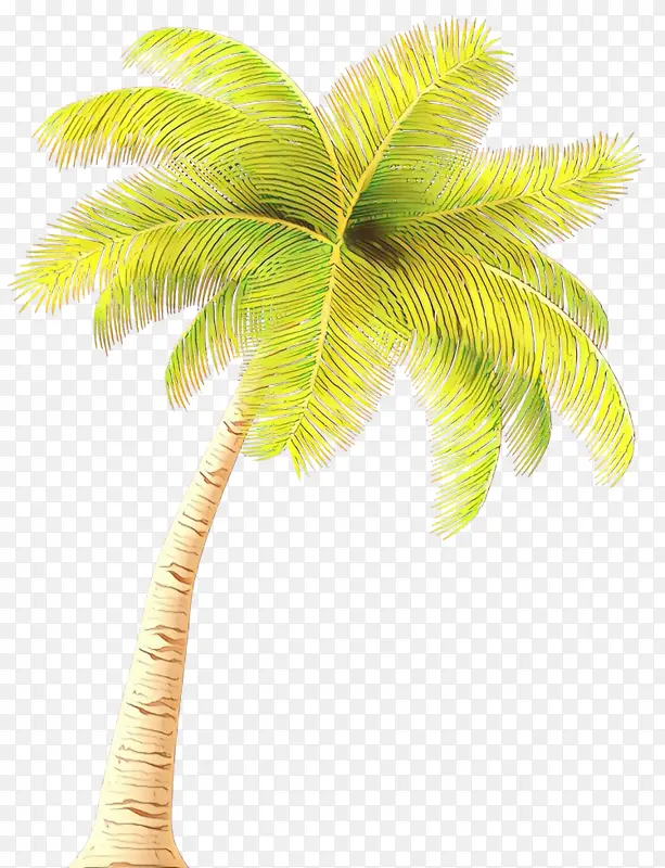 ��ͨ �� �����-������