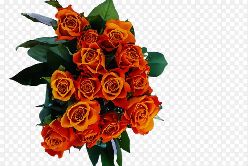 ˮ�� ���� ʪī-������