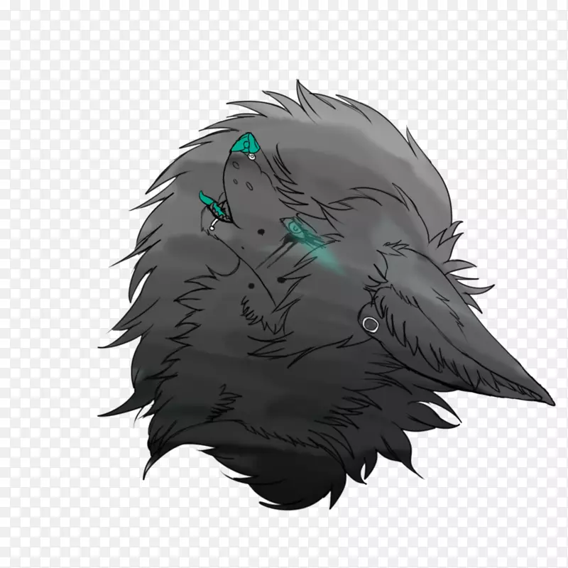 ��ë������ֽ.����-������