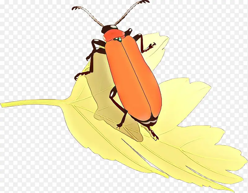 ��ͨ ���� ��ɫ-������