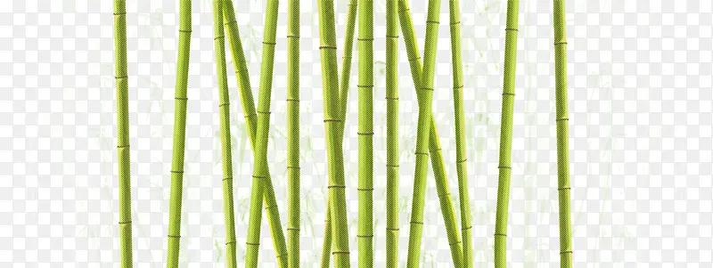 ��ɫ ֲ�� ��-������