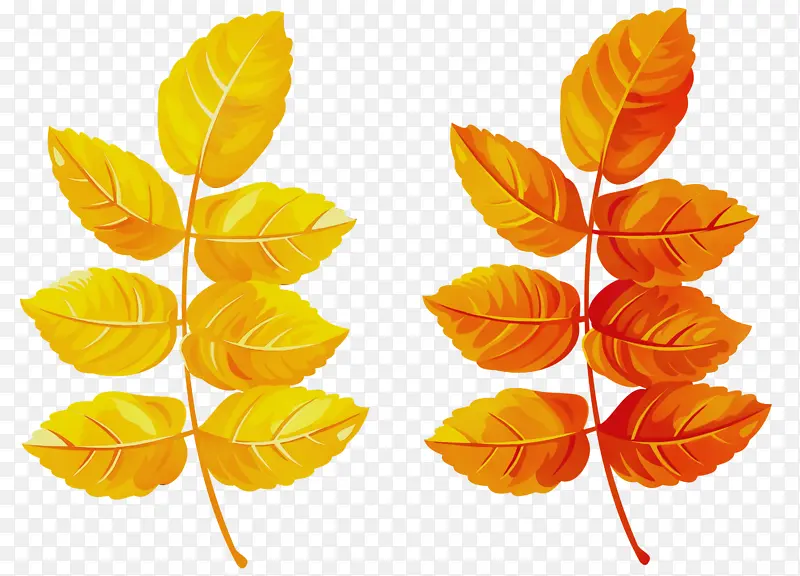 ˮ�ʻ� ���� ʪī-������