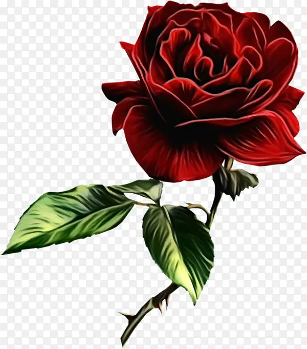 ˮ�ʻ� ���� ʪī-������