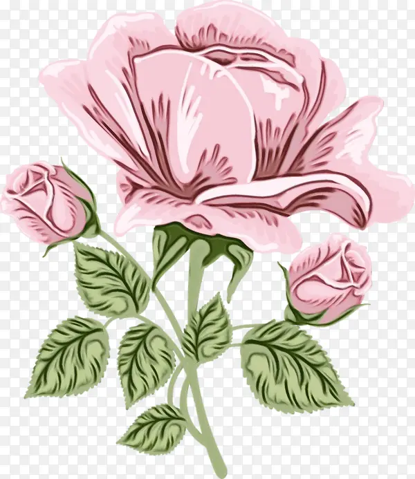 ˮ�� ���� ʪī-������