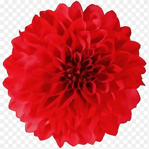 ˮ�� ���� ʪī-������