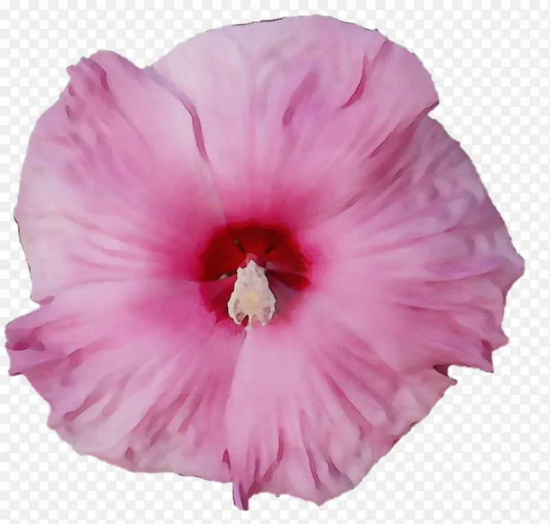 ˮ�� ���� ʪī-������