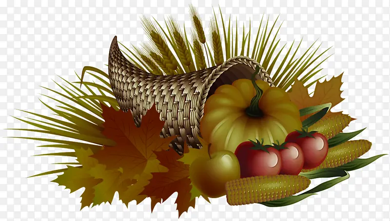 ֲ�� �� ˮ��-������