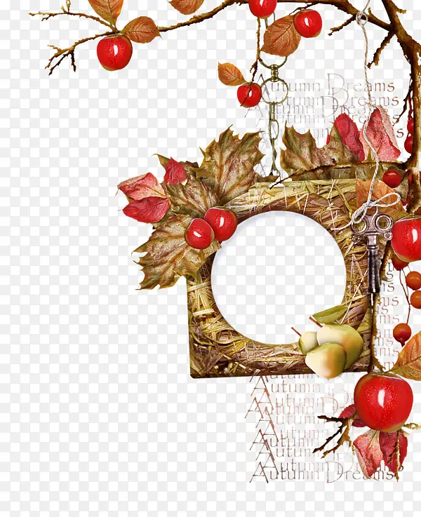 ��ֲ֦��ʥ��װ�ζ����������-������