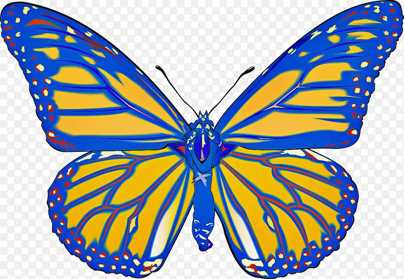 �ɶ�ͺ��� ���� ����-������