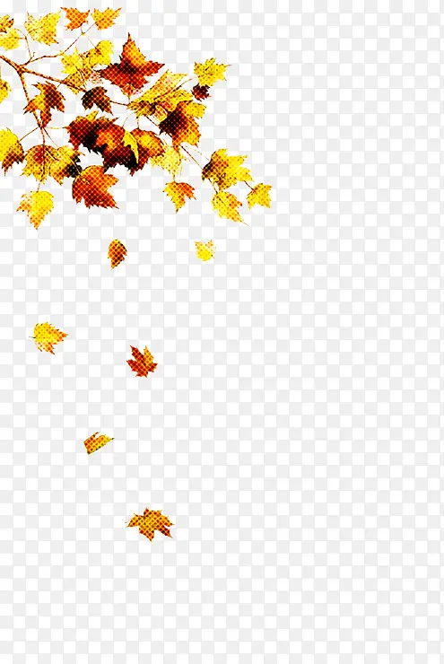 ��ɫ Ҷ�� ��ɫ-������