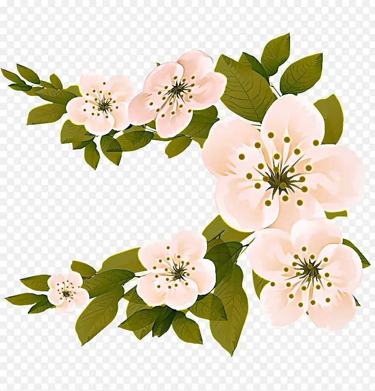 �� ���� ֲ��-������