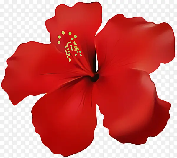 ���� ܽ�� ��ɫ-������