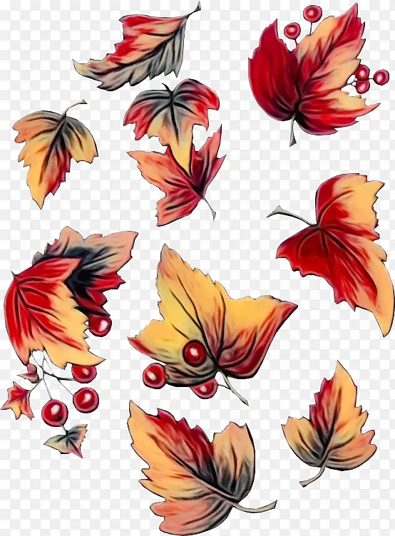 ˮ�ʻ� ���� ʪīˮ-������