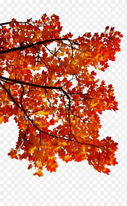 ˮ�ʻ� ���� ʪī-������