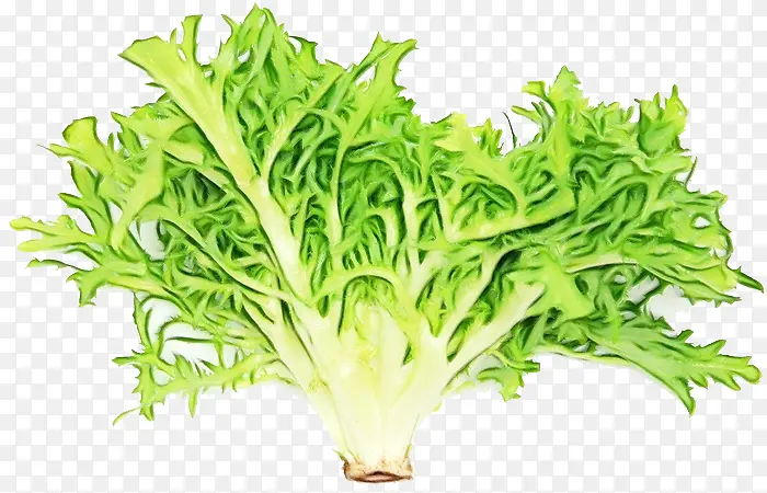 ˮ�� ���� ʪī-������