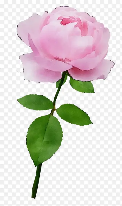 ˮ�� ���� ʪī-������