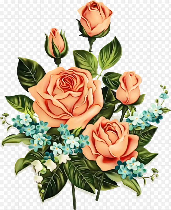 ˮ�� ���� ʪī-������