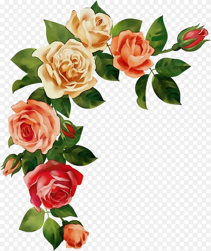 ˮ�� ���� ʪī-������