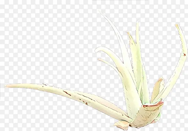 ��ͨ ֲ�� �ݿ�-������