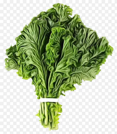 ˮ�ʻ� ���� ʪī-������