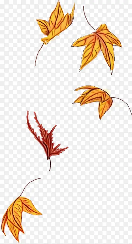 ˮ�ʻ� ���� ʪī-������