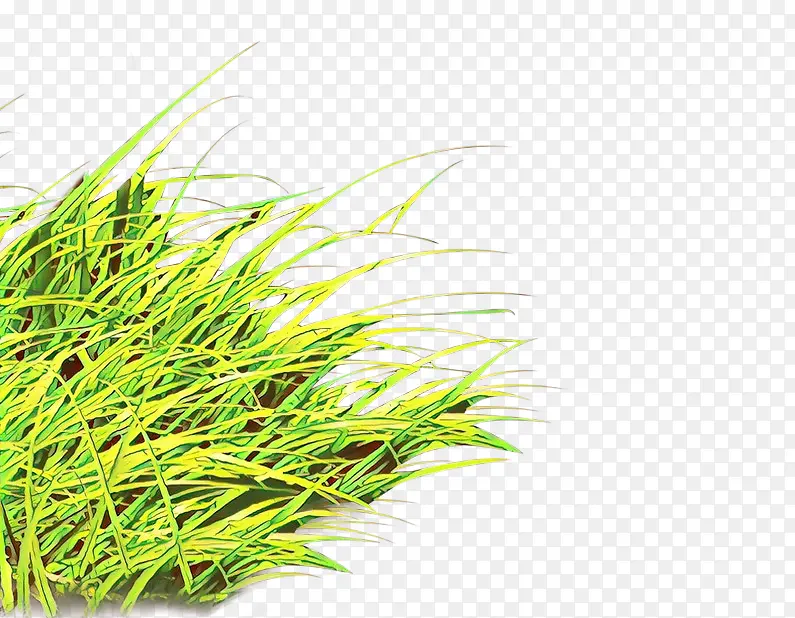 ��ͨ �� ֲ��-������