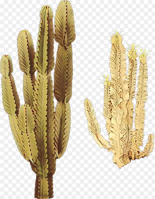 ��ͨ ֲ�� �ݿ�-������