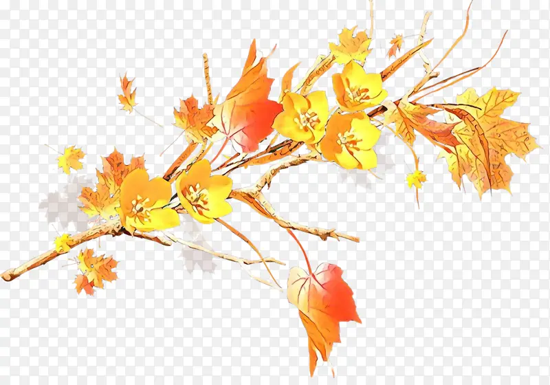 ��ͨ ��Ҷ ��֦-������