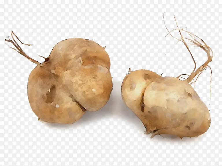 ˮ�ʻ� ���� ʪī-������