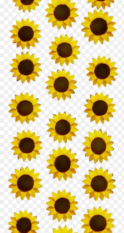 ˮ�ʻ� ���� ʪī-������