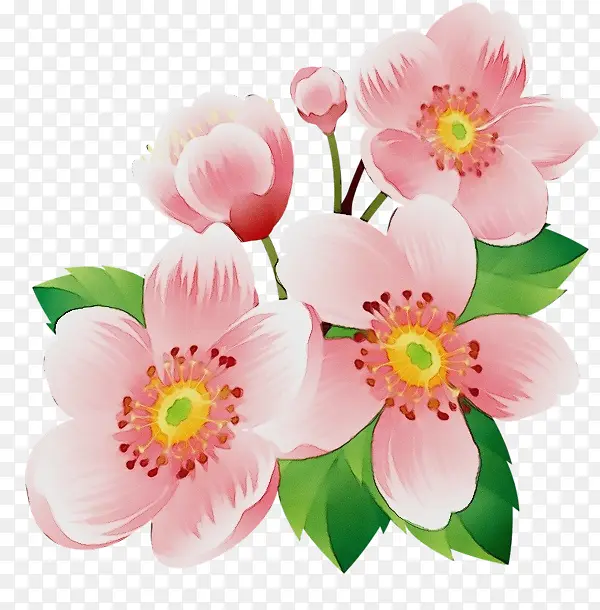 ˮ�� ���� ʪī-������