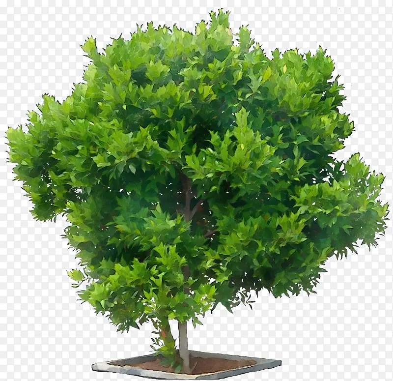 ˮ�ʻ� ���� ʪī-������