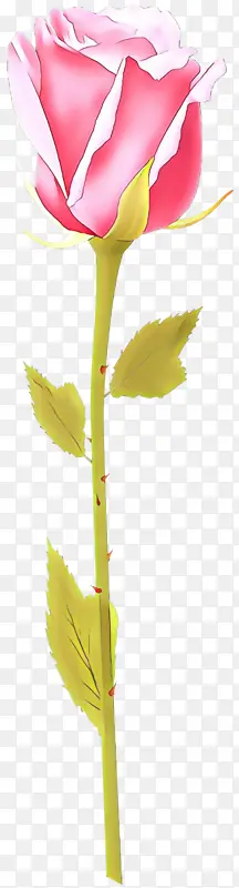 ��ͨ Ҷ�� ֲ��-������