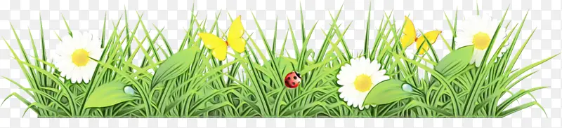 ˮ�� ���� ʪī-������