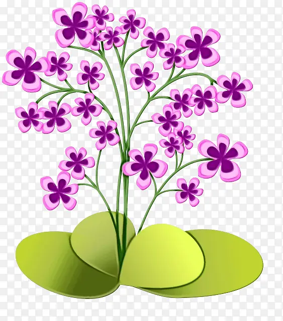 ˮ�ʻ� ���� ʪī-������