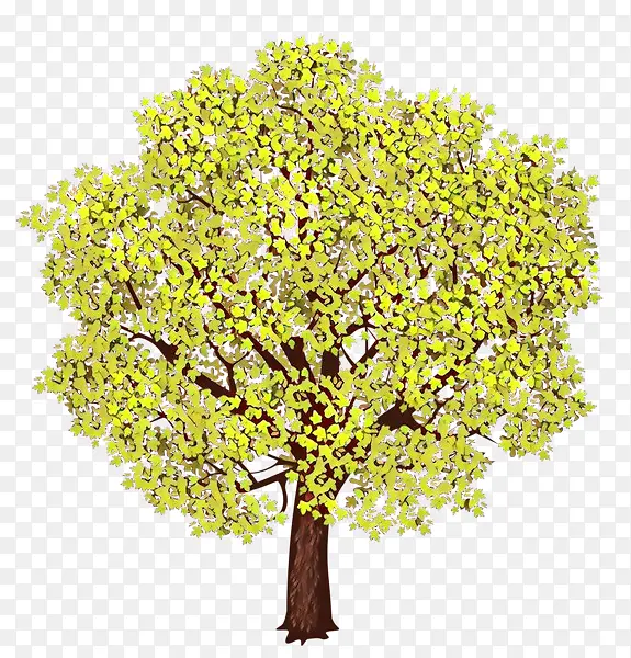 ��ͨ �� ֲ��-������