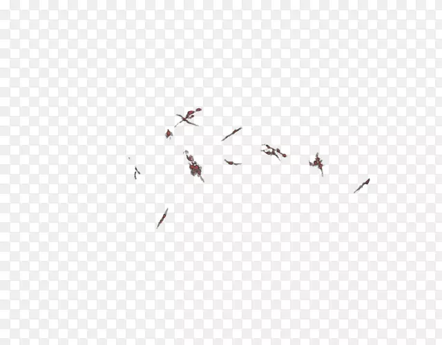 ����Ǩ�����������-�˺�-������