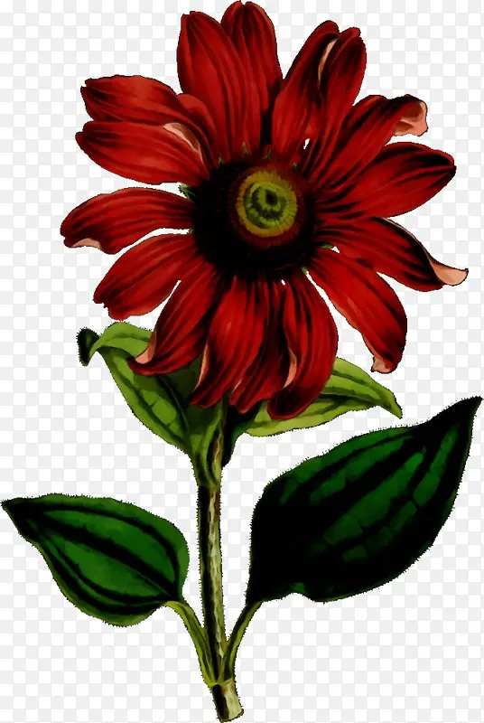 ˮ�� ���� ʪī-������