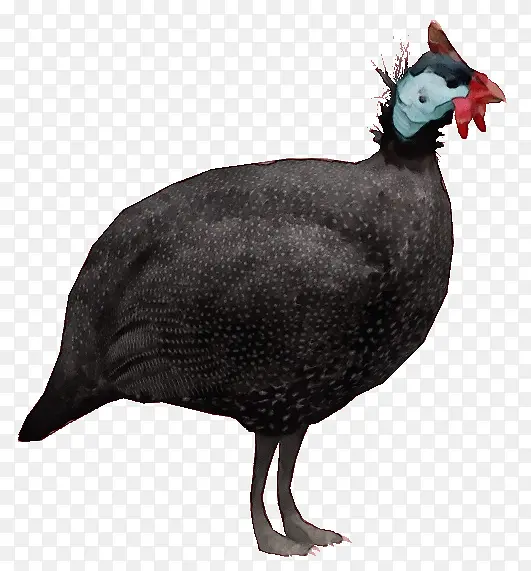 ˮ�ʻ� ���� ʪīˮ-������