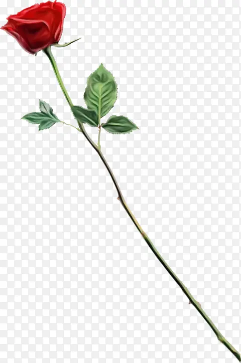 ˮ�ʻ� ���� ʪī-������